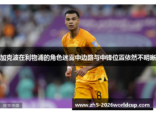 加克波在利物浦的角色迷雾中边路与中锋位置依然不明晰 加克波在利物浦的角色迷雾中边路与中锋位置依然不明晰